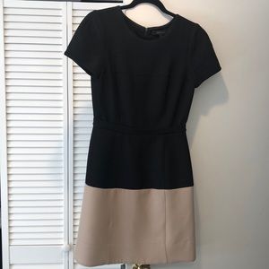 BCBG Black & tan A line dress